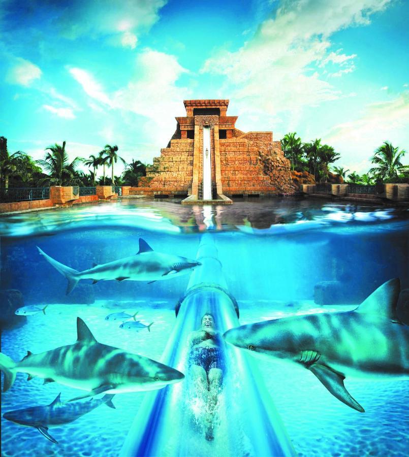 Comfort Suites Paradise Island Creek Village Zewnętrze zdjęcie
