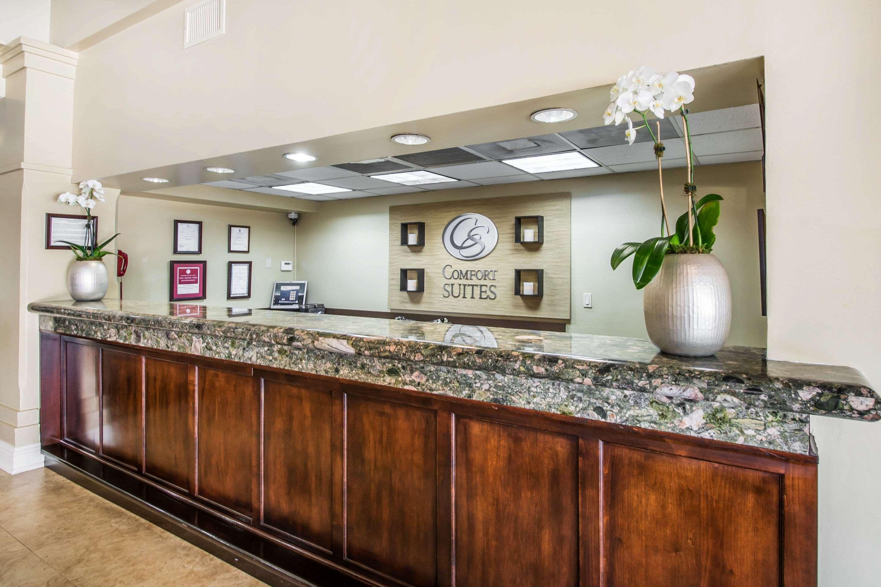 Comfort Suites Paradise Island Creek Village Zewnętrze zdjęcie